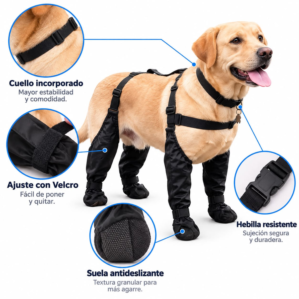 Botas antideslizantes para perro con tirantes